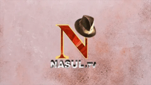 Nasul TV logo