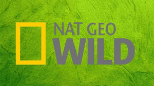 National Geographic Wild logo