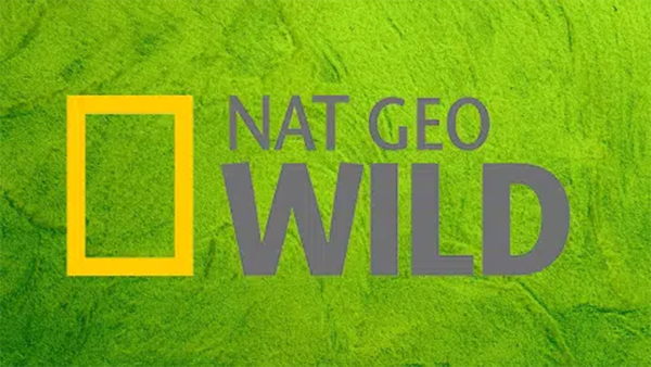 National Geographic Wild logo